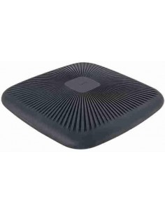 Cojín Wobble Active Leitz Ergo