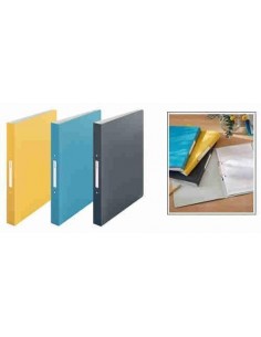 Carpeta de 2 anillas Leitz Cosy