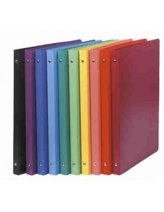 Carpeta con anillas opaca