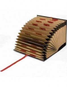 Carpeta de acordeón fuelle