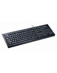 Teclado ValuKeyboard USB/PS2